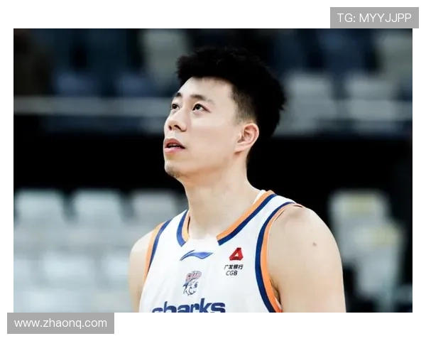 新疆主场对阵上海比赛因漏水中断